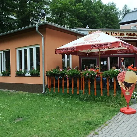 Haus Regrus 3* Jáchymov