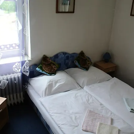 Haus Regrus 3* Jáchymov