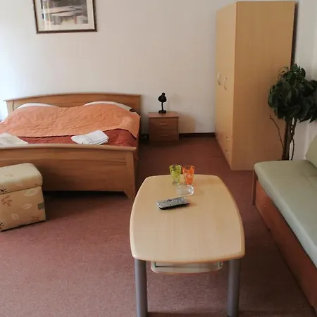 Haus Regrus Hotel Jáchymov