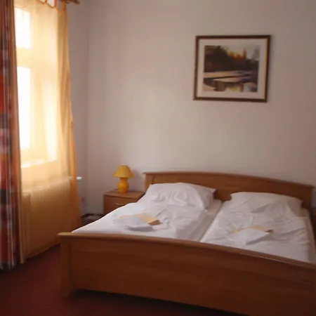 Hotel Haus Regrus Jáchymov