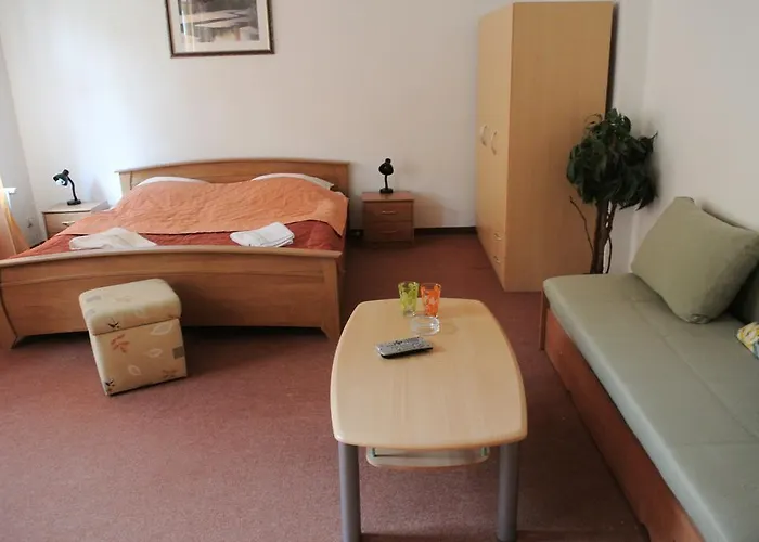 Haus Regrus Hotel Jáchymov